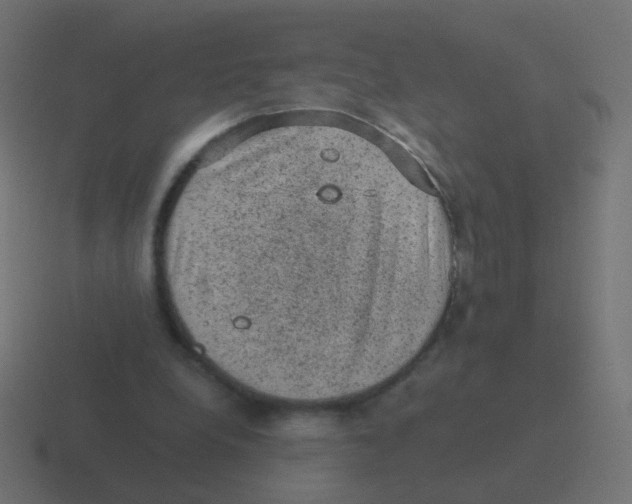 X0000116480248200912292051