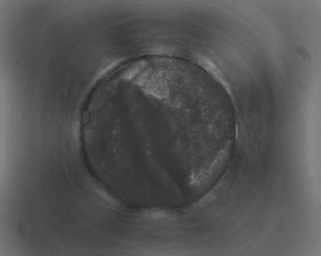 X0000116480249200912292051