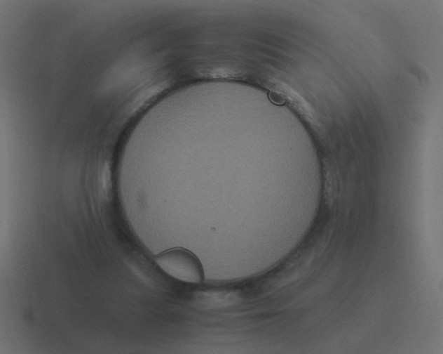 X0000116480251200912292051