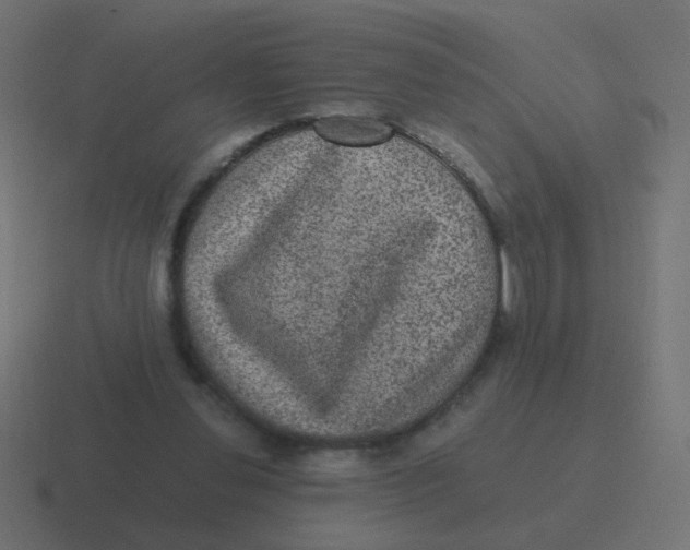 X0000116480252200912292051