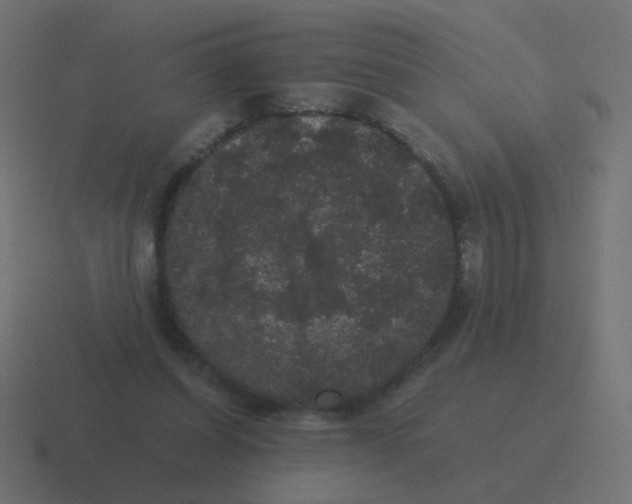 X0000116480254200912292051