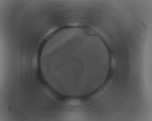 X0000116480256200912292051