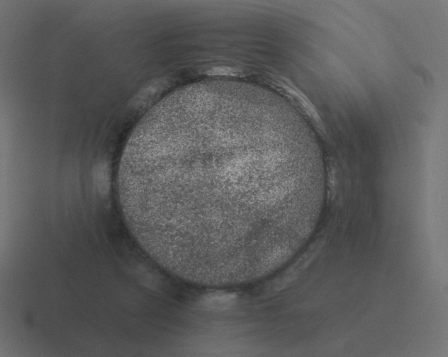 X0000116480257200912292051