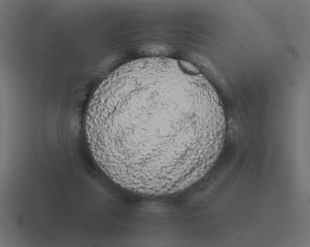 X0000116480259200912292052