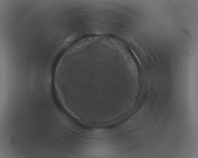 X0000116480260200912292052