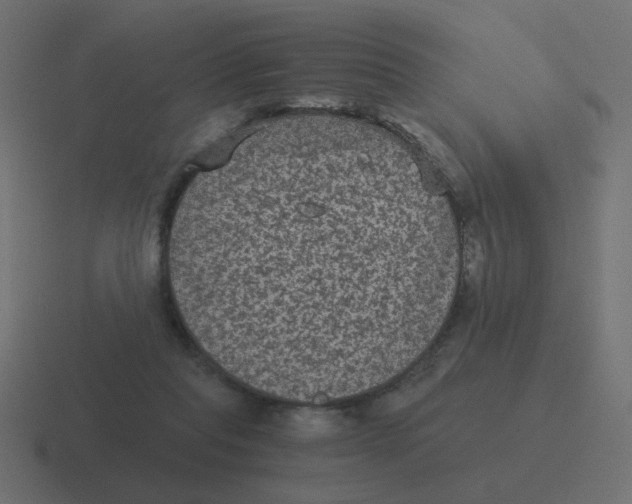 X0000116480261200912292052