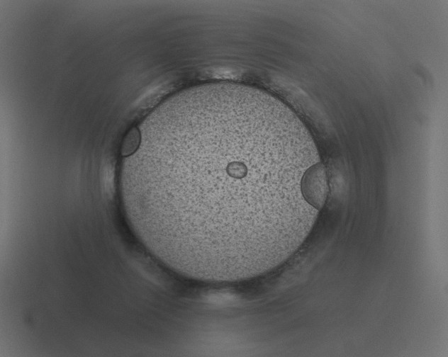 X0000116480262200912292052