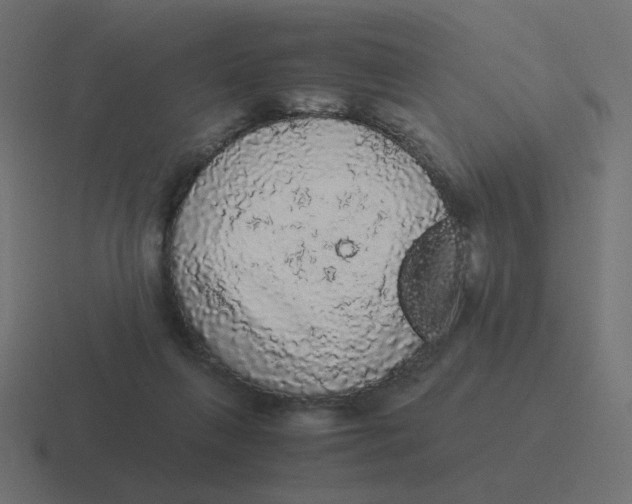 X0000116480263200912292052