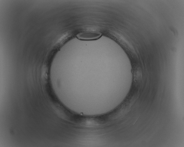 X0000116480264200912292052