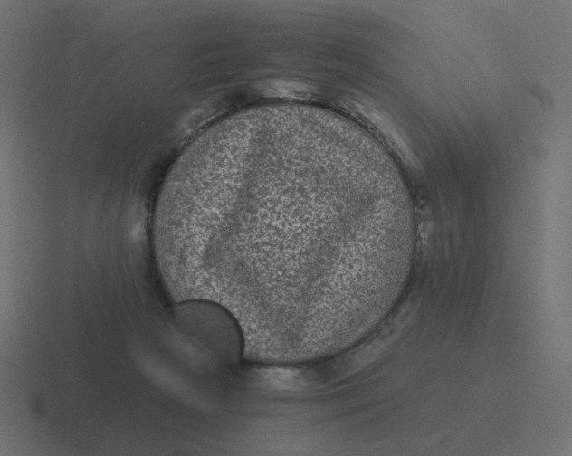 X0000116480265200912292052