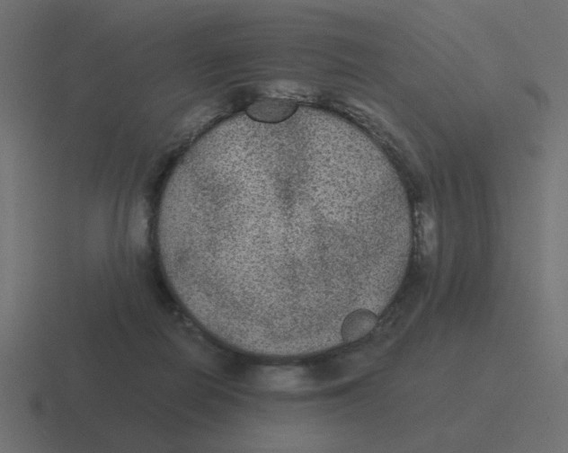 X0000116480266200912292052