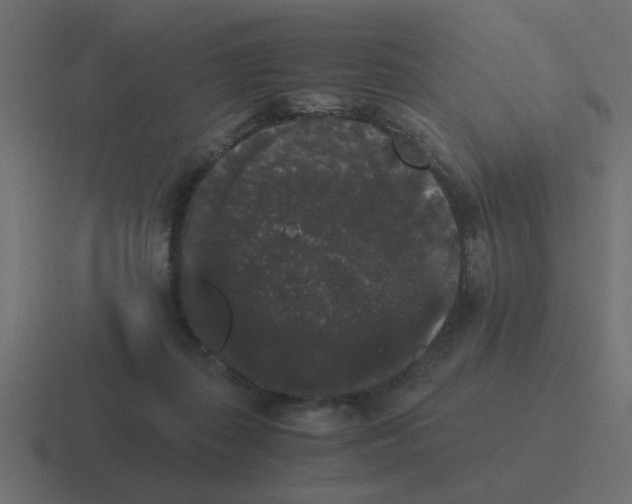 X0000116480267200912292052