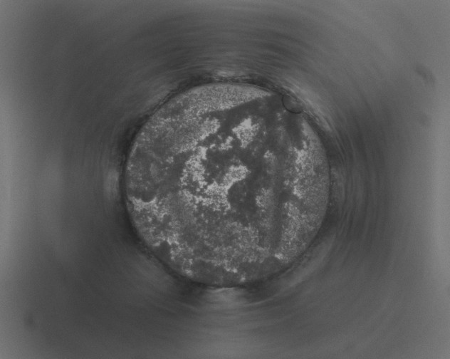 X0000116480269200912292052