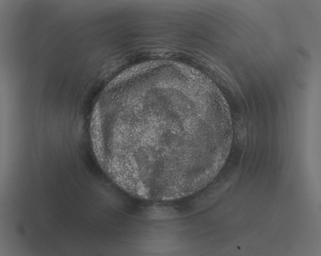 X0000116480270200912292052