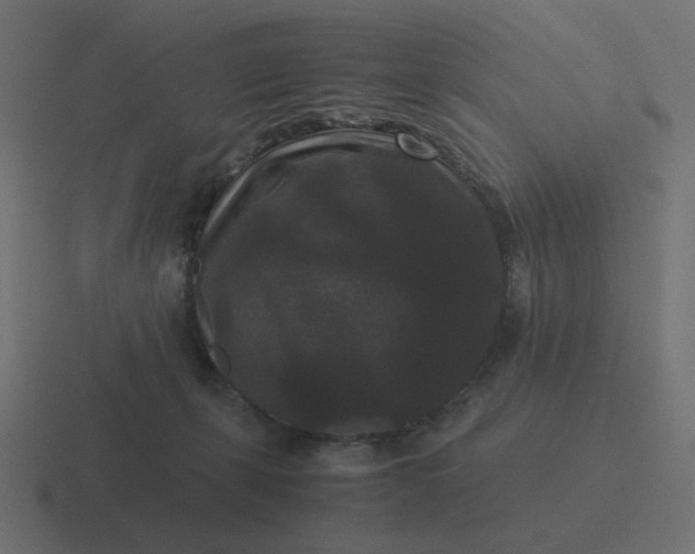 X0000116480271200912292052