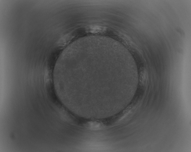 X0000116480272200912292052