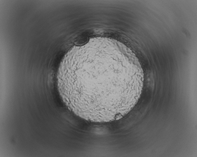 X0000116480275200912292052