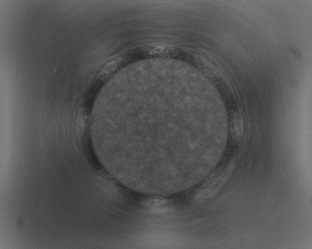 X0000116480276200912292052