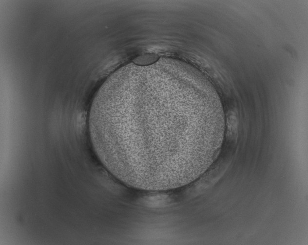 X0000116480278200912292052