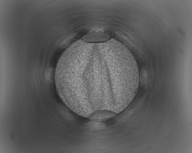 X0000116480280200912292052