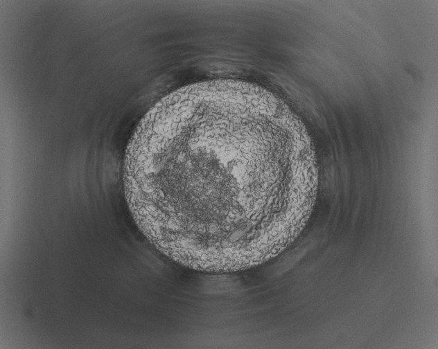 X0000116480281200912292052