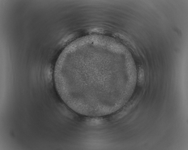 X0000116480282200912292052