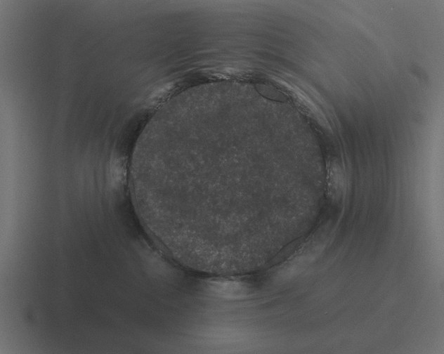 X0000116480284200912292052