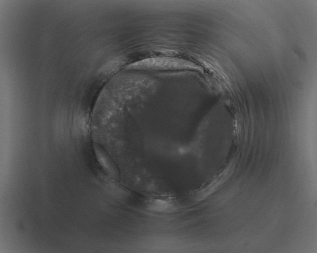 X0000116480285200912292052