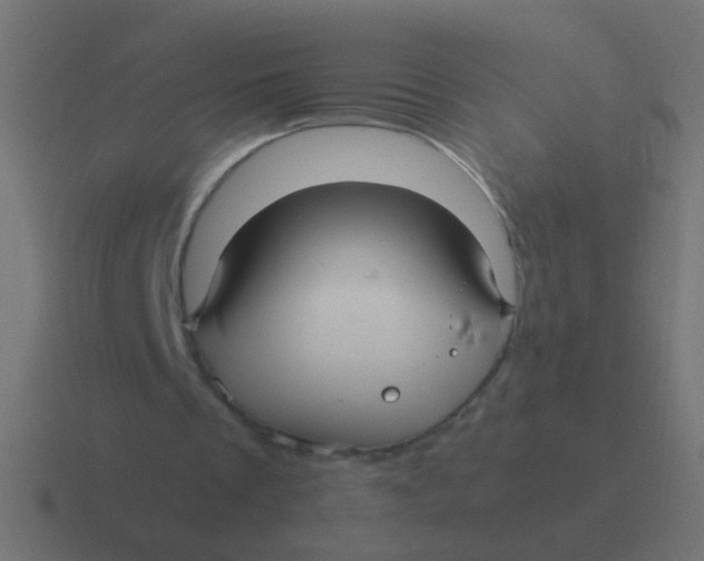 X0000116480289200912292051