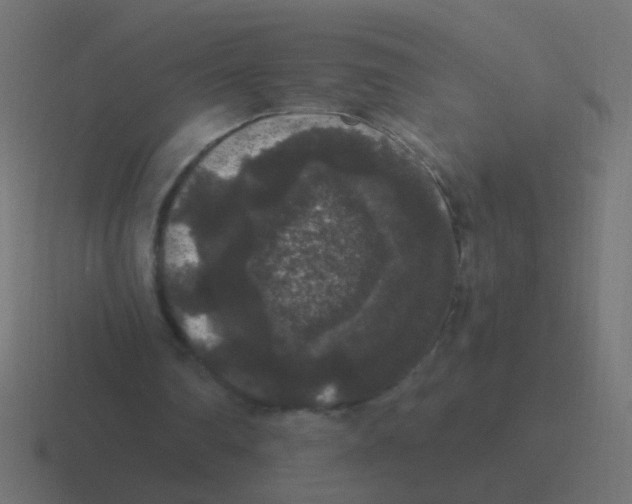 X0000116480290200912292051