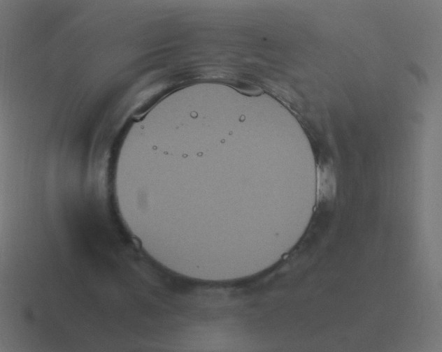 X0000116480291200912292051