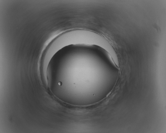 X0000116480292200912292051