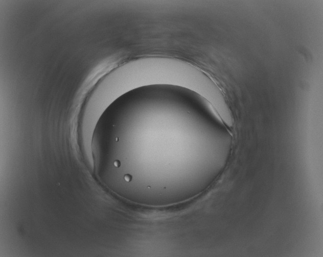 X0000116480293200912292051