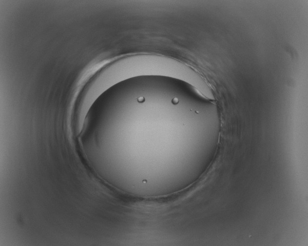 X0000116480294200912292051