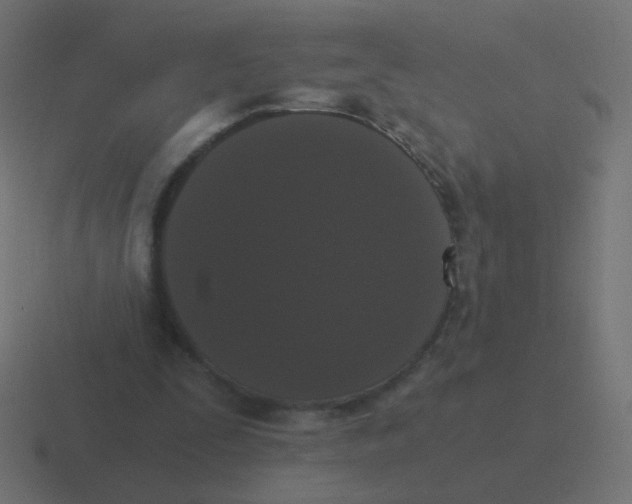 X0000116480295200912292051