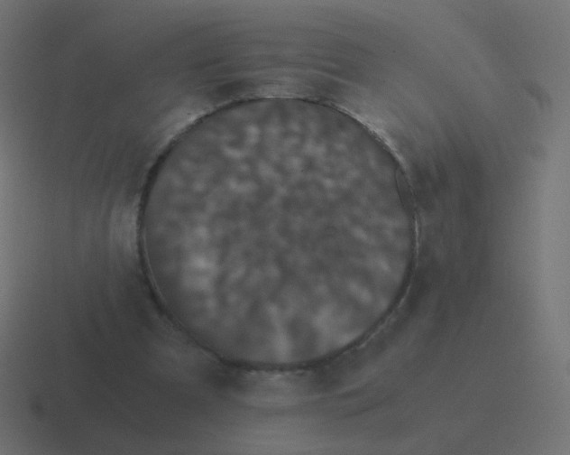 X0000116480297200912292051