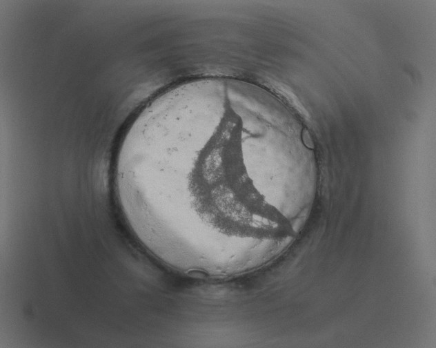 X0000116480299200912292051