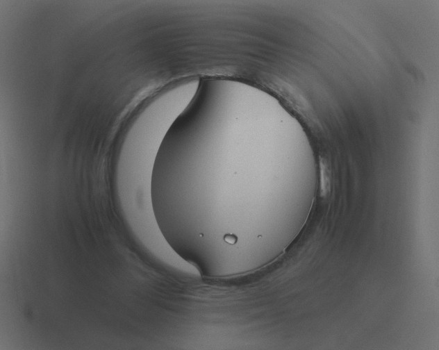 X0000116480300200912292051