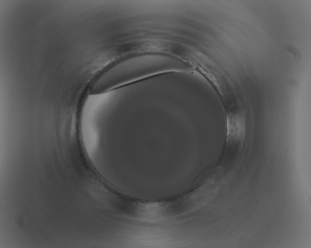 X0000116480301200912292051