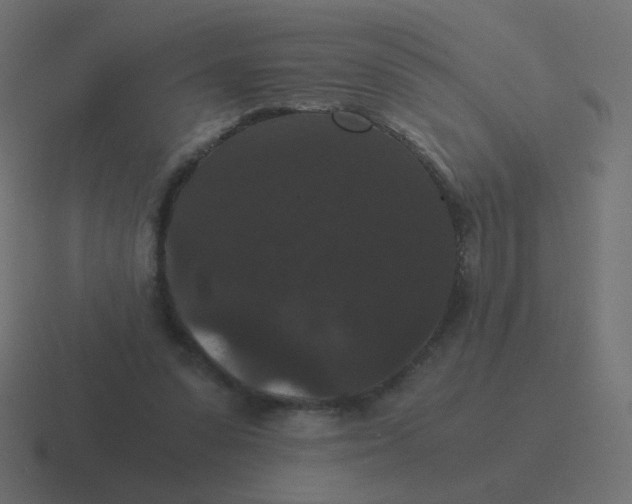 X0000116480303200912292051