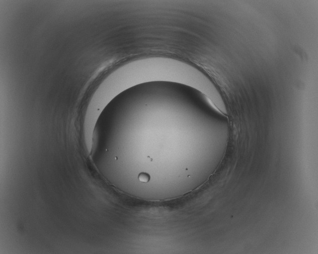 X0000116480304200912292051