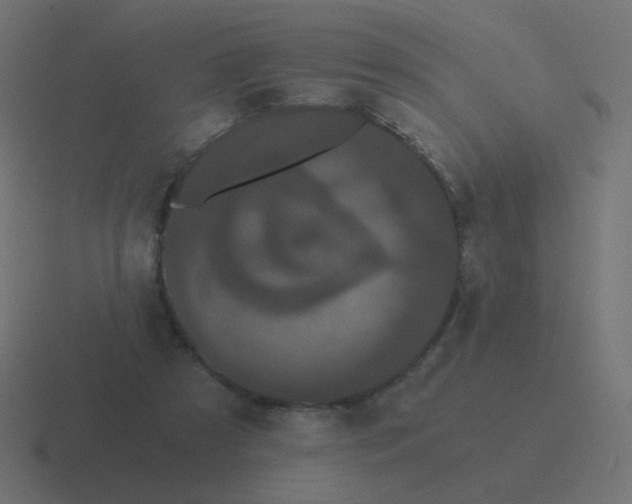 X0000116480305200912292051