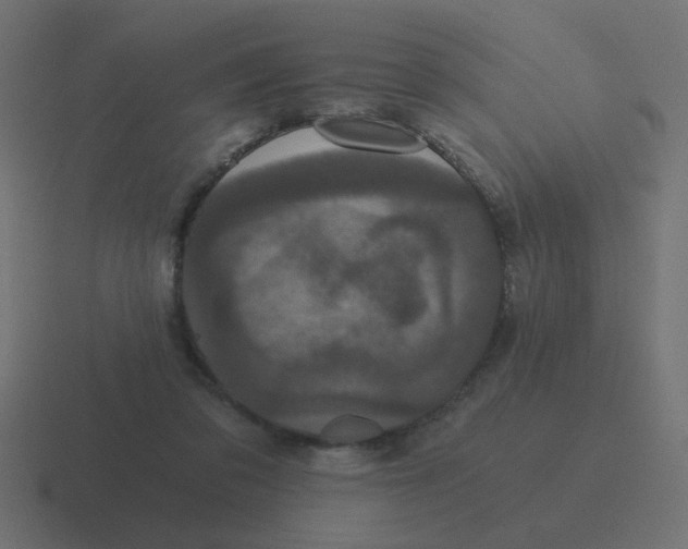 X0000116480309200912292051