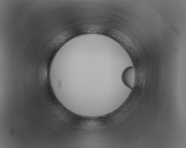 X0000116480310200912292051