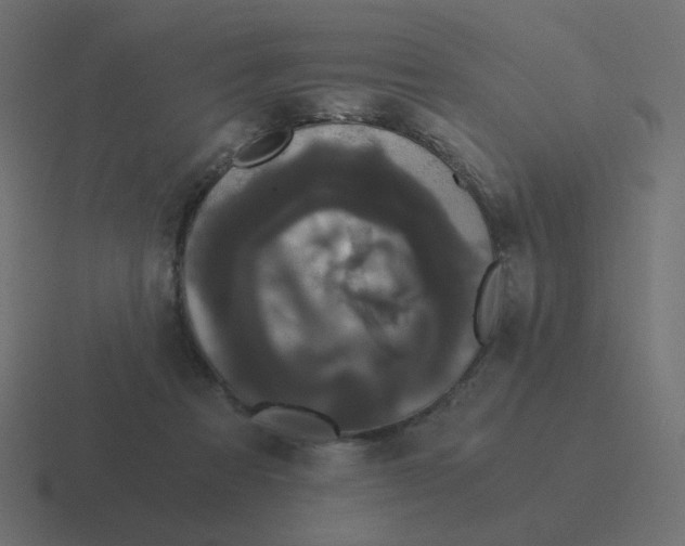 X0000116480313200912292051