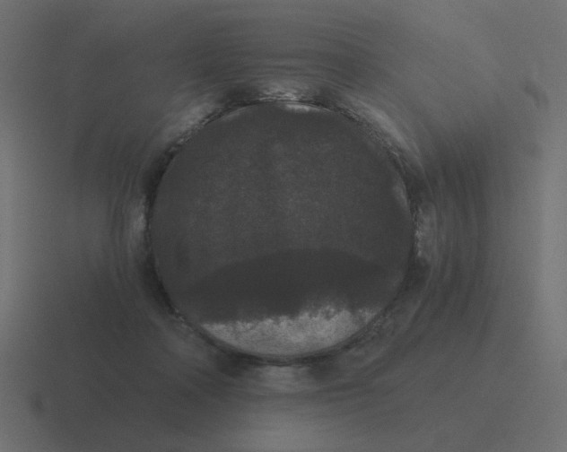 X0000116480314200912292051