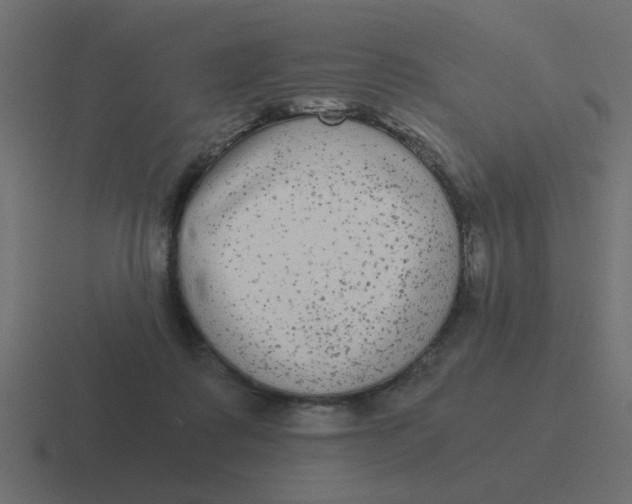 X0000116480315200912292051