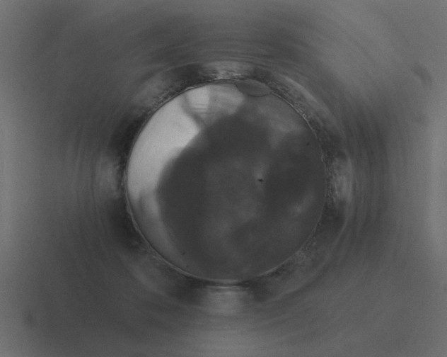 X0000116480316200912292051