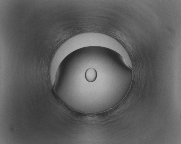 X0000116480317200912292051