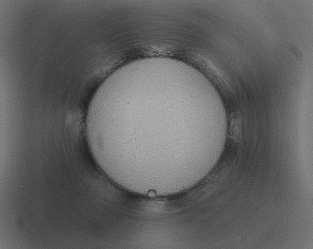 X0000116480318200912292051